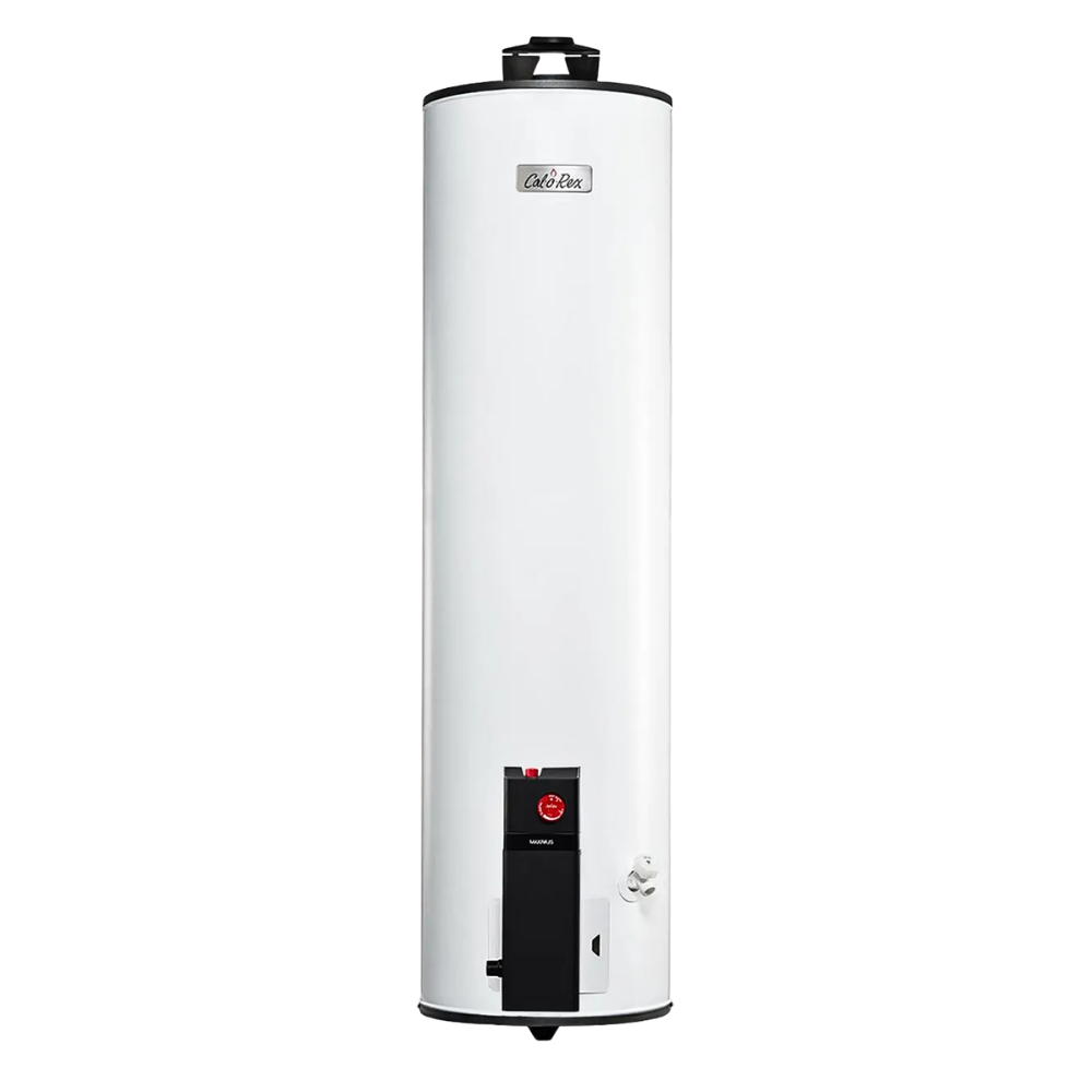 CALENTADOR CALOREX  DE DEPOSITO MAXIMUS G-60  LP